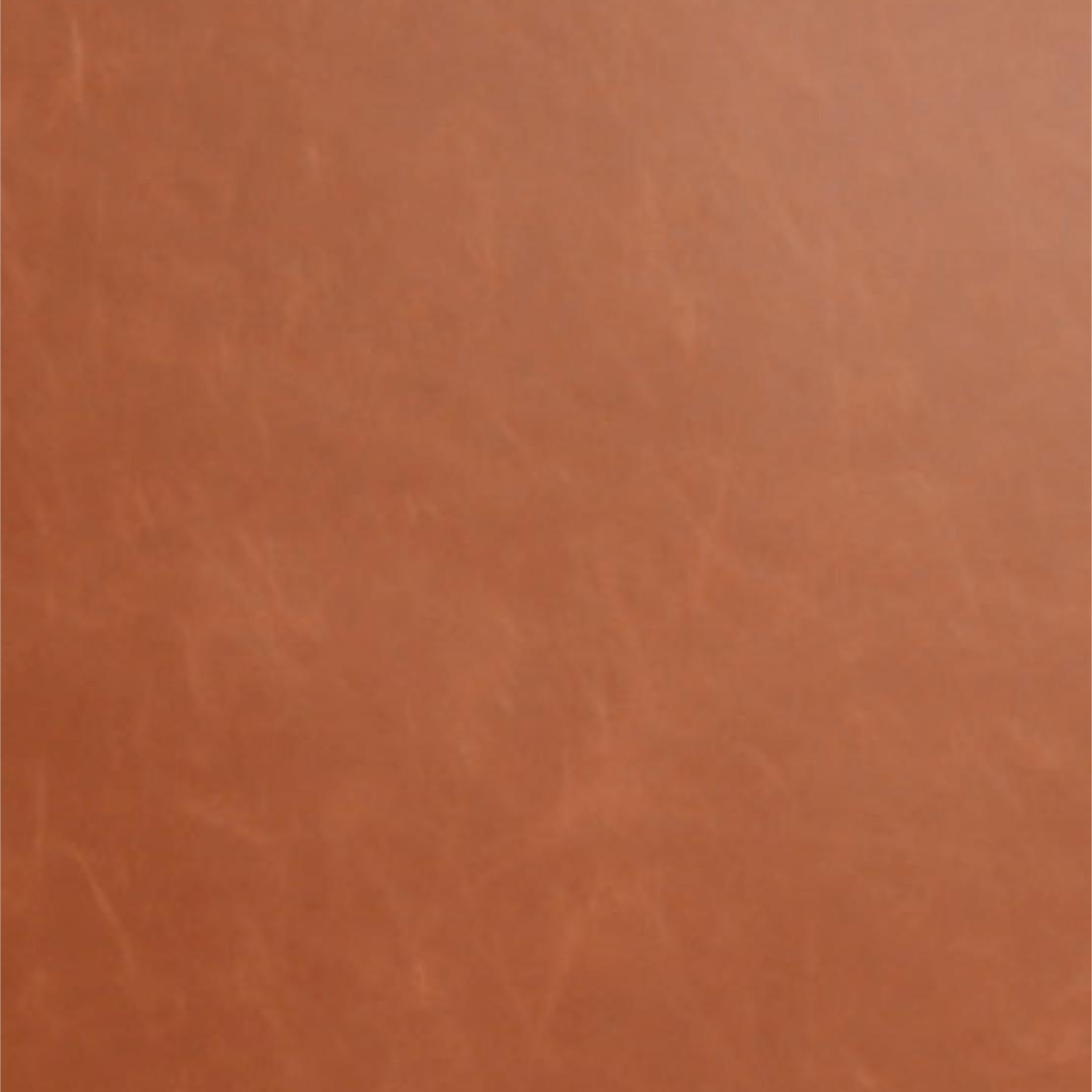 Swatch of Rawhide Leatherette