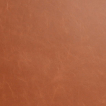 Swatch of Rawhide Leatherette